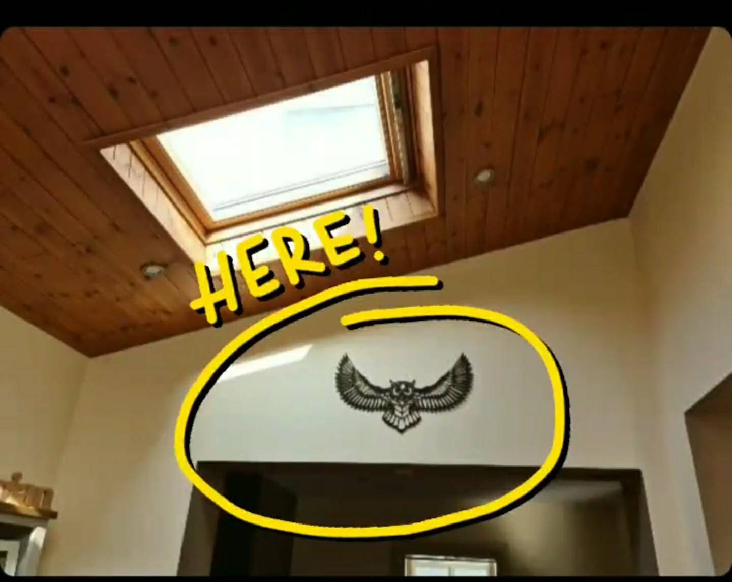 Wooden owl wall decor