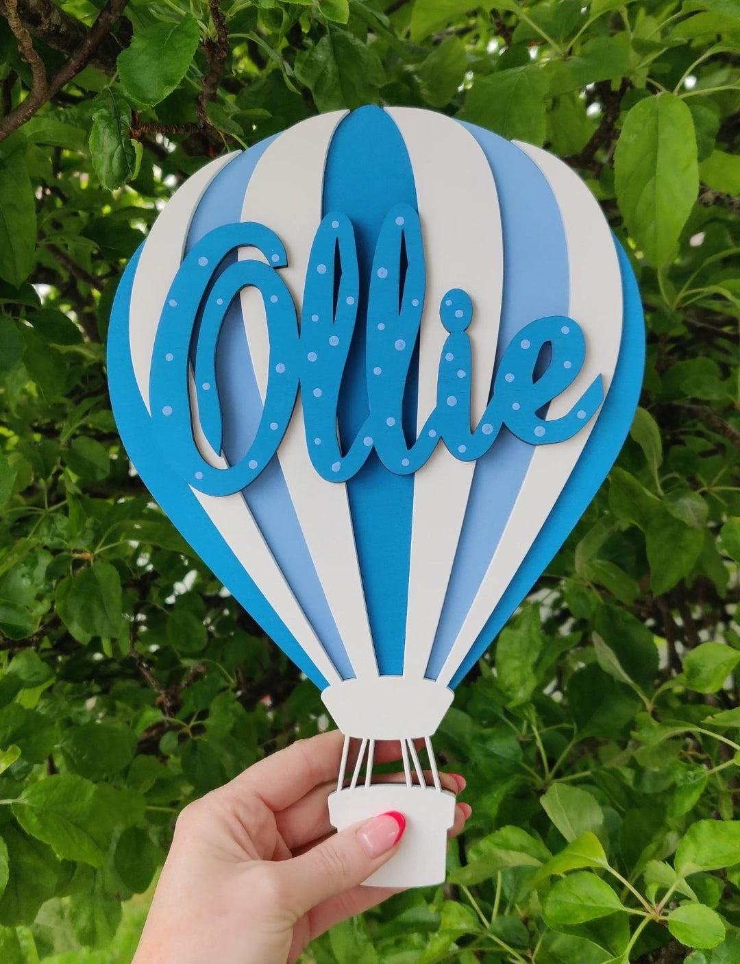 Hot air balloon