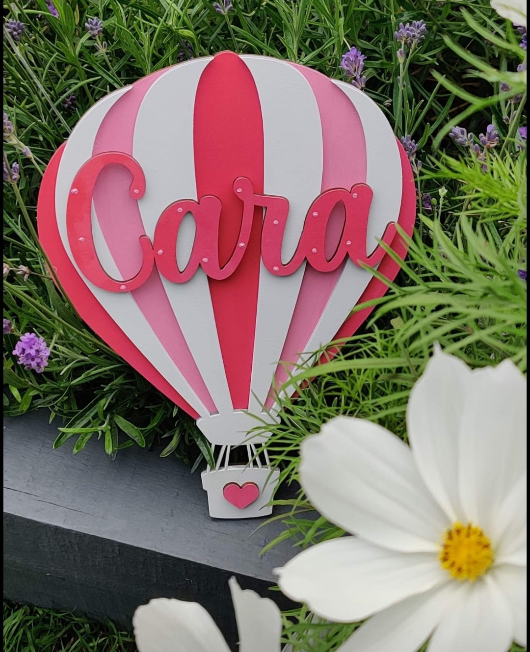 Hot air balloon